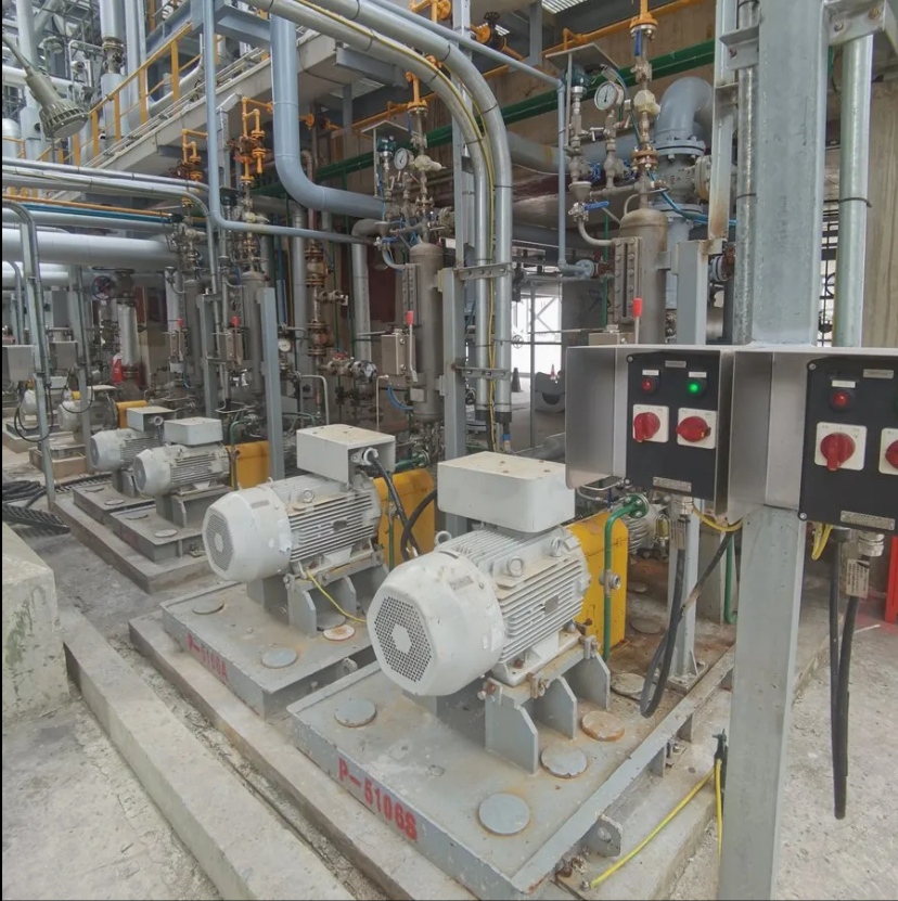 API 610 OH2 pump 2 API 610 OH2 pump - Image 2