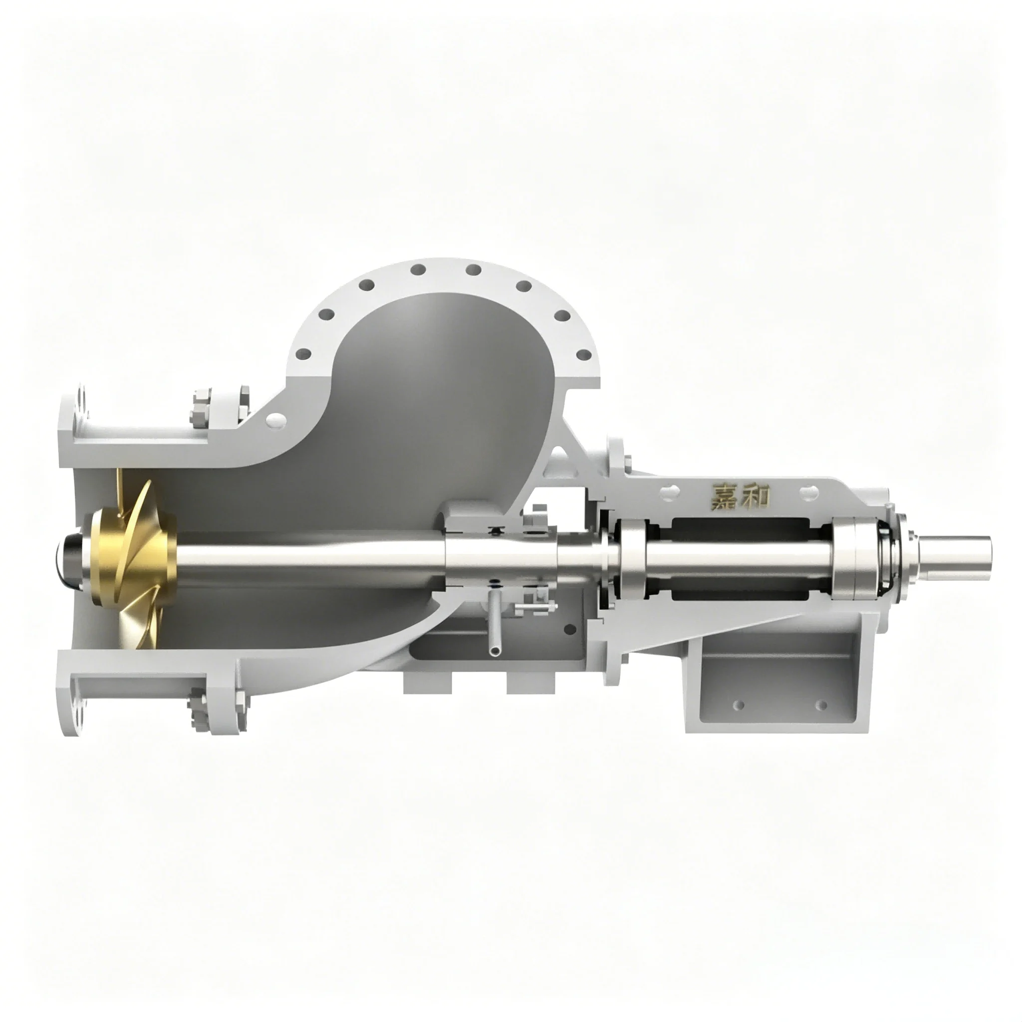 Chemical Axial-Flow Centrifugal Pump 1 Chemical Axial-Flow Centrifugal Pump